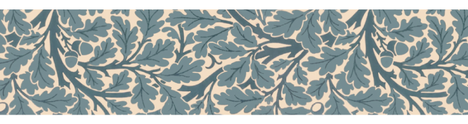 MT Masking Tape 20mm william morris: Oaktree